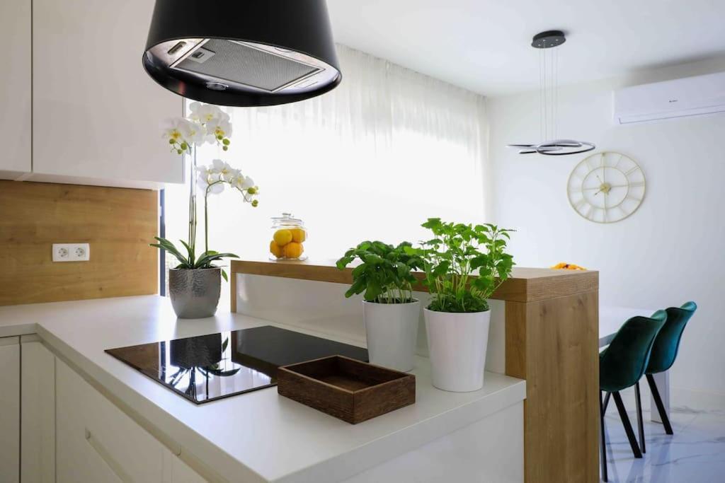 Apartment Anna